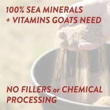 REDMOND Goat Mineral Supplement - A Premium sea Salt with Essential Trace Minerals and Vitamins (25 LB)