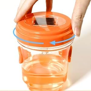 Wasp Traps for Yard