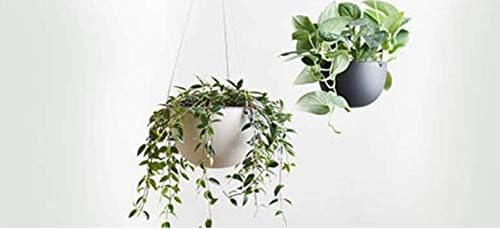KINTO 29230 Plant Pot, 7.9 inches (201 mm), 6.8 inches (174 mm), Black Hanging Planter, Hanging Pot, Flower Pot, Interior Decoration