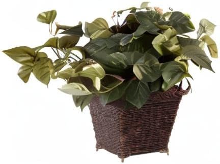 Nearly Natural Pothos with Coiled Rope Planter Silk Plant