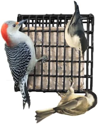 Suet Cake 12 Pack | Case of 12 Suet Cakes for Wild Birds (Woodpecker High Energy)