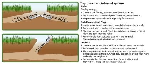 Gonzo Gopher Trap - Effective Home Pest Control, Best Gopher Trap - 13 x 7 x 6 in - Alloy Steel