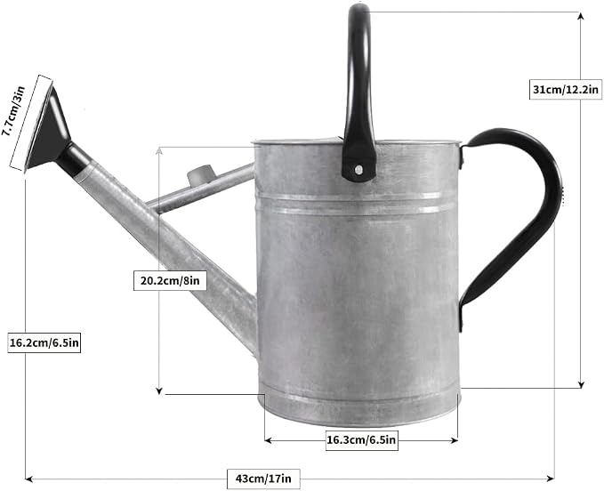 1 Gallon Metal Watering Can with Removable Spout, Nice Galvanized Steel Water Can for Indoor and Outdoor Plants (House Plants)