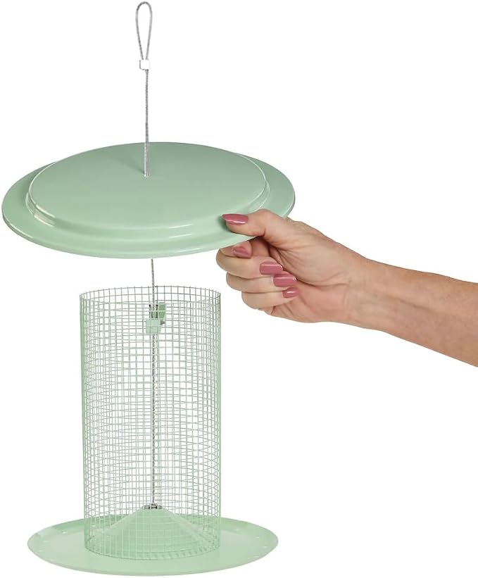 Birds Choice Modern Farmhouse Sunflower Seed Bird Feeder, Sage Green - Includes Paracord Hanger, 3 lbs. Seed Capacity