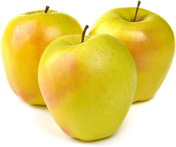 American Plant Exchange Dorsett Apple Tree, 5 Gallon Pot, 3-4 ft Tall, Live Outdoor Fruiting Plant, Sweet, Crisp and Tangy Fruit