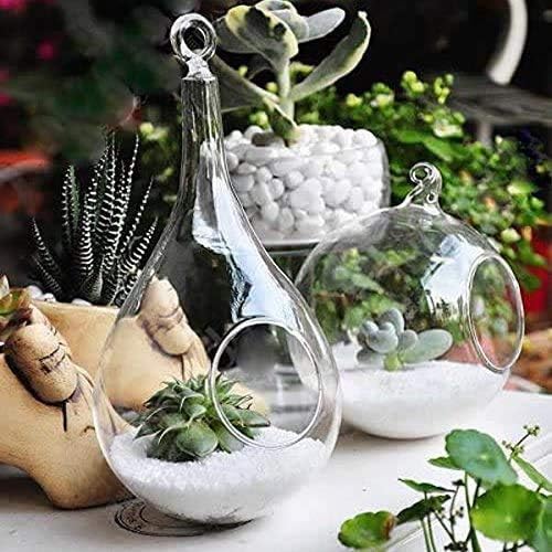 Mkono 3 Pack Glass Hanging Planter Air Fern Holder Terrarium Plants Hanger Vase, Home Christmas Decoration Gifts for Plant Lovers, Succulent Moss Tillandsias Air Plants Globe (Plant Not Included)