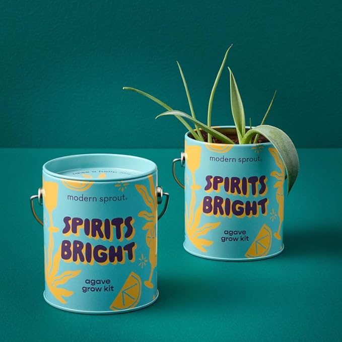 Modern Sprout Complimentary Seed Starter Grow Kits (Pack of 3) - Unique Gift for Plant Lovers - Includes Organic Spruce Eucalyptus and Agave Seeds - Plant and Gardening Gifts that Grows with Love