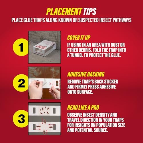 Catchmaster Mouse & Insect Glue Board Set, 36 Glue Boards & 30 Spider & Insect Glue Traps, Indoor Roach Trap for Home, Garage & Shed, Pet Safe Pest Control