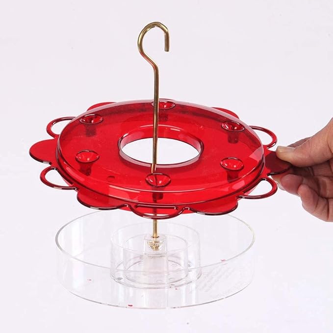 Naturesroom Birds Choice Hummerfest 12 oz Hanging Hummingbird Feeder - NP1002, Red, Plus Bonus Pack of Nectar