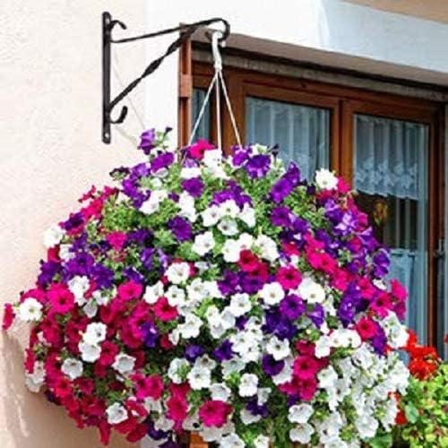 AMAGABELI GARDEN & HOME 4 Pack Hanging Plant Brackets Outdoor 10 inch Metal Fence Wall Plant Hanger Hooks for Hanging Flower Baskets Bird Feeders Lanterns Wind Chimes Rust-Resistant Black