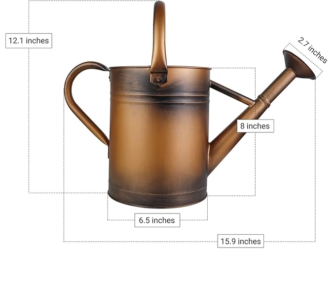 1 Gallon Metal Watering Can for Outdoor Garden, Plant & Flower Watering Pot for Gardening Bonsai Water Bucket with Sprinkler Head