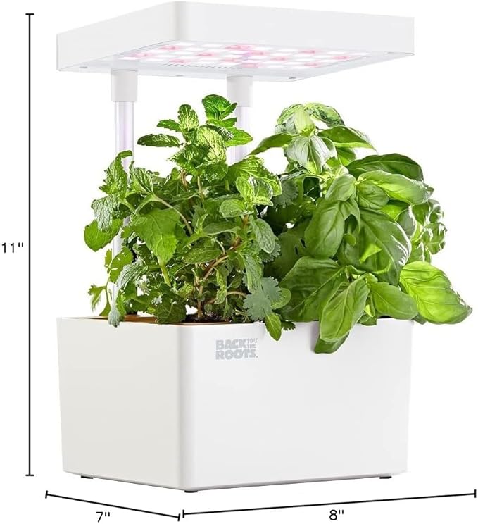 Back to the Roots v1.0 Hydroponic Grow Kit, 2022 Model (Pack of 4)