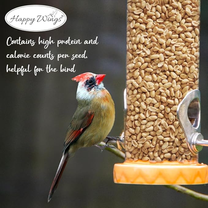 Happy Wings Shelled Peanuts Seeds Combo Wild Bird Food - 10 Pounds- 5 Pounds Combo Pack of 2 I No Grow Seed I Bird Food for Wild Birds