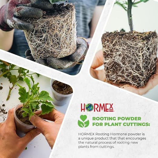 Hormex Rooting Powder #1 (0.10% IBA) for Delicate Houseplants, Succulents & Herbs - Gentle Root Powder, Root Stimulator for Plants, Rooting Hormone for Cuttings, Cloning, & Softwood Propagation