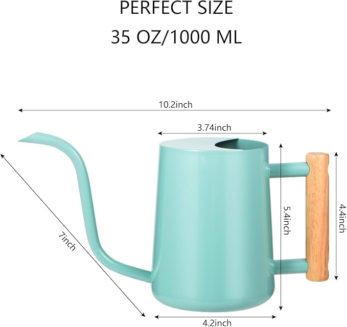 Watering Can Indoor Plants, 35oz Small Indoor Stainless Steel Metal Watering Can Modern Decorative Watering Pot with Long Spout for Indoor House Plant Bonsai Outdoor Garden Flowers Green