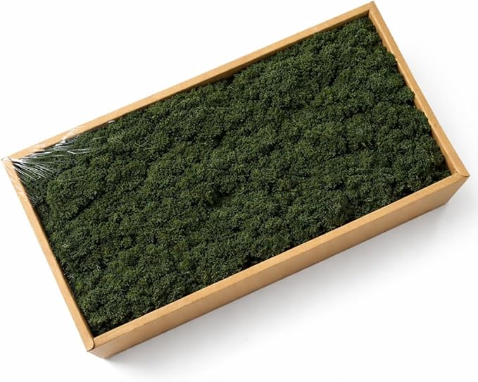 Cigarlemon Preserved Reindeer Moss, 17.64oz Natural Decorative for Home Decor, DIY Crafts, Moss Wall Art, Terrariums, Floral Arrangements, Wedding & Holiday Decorations (Blackish Green)