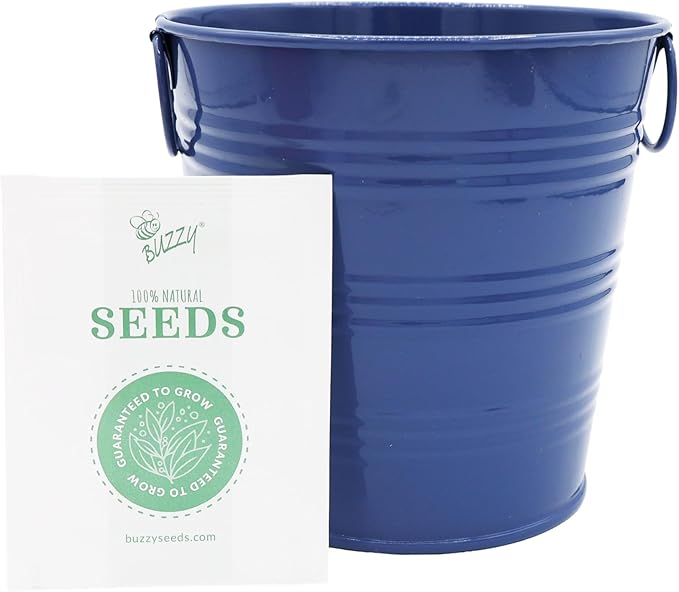 BUZZY Seeds Americana Grow Kit 3-Pack – Red White and Blue Pails with Daisies, Poppies & Forget-Me-Nots – Fun Patriotic Indoor Flower Grow Kit, DIY Gardening Gift Set