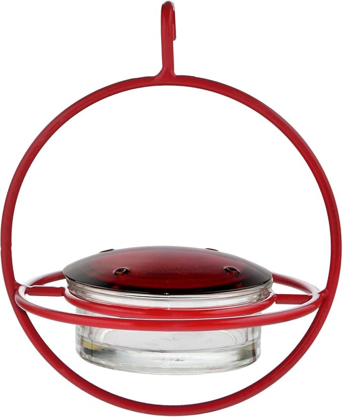 Hummingbird Feeder for Outdoors Hanging, 3.4 OZ Hummingbird Feeders, Glass Bowl with 4 Feeding Ports, Leak Proof Lid & Circular Perch, Bird Feeder (3, Red)