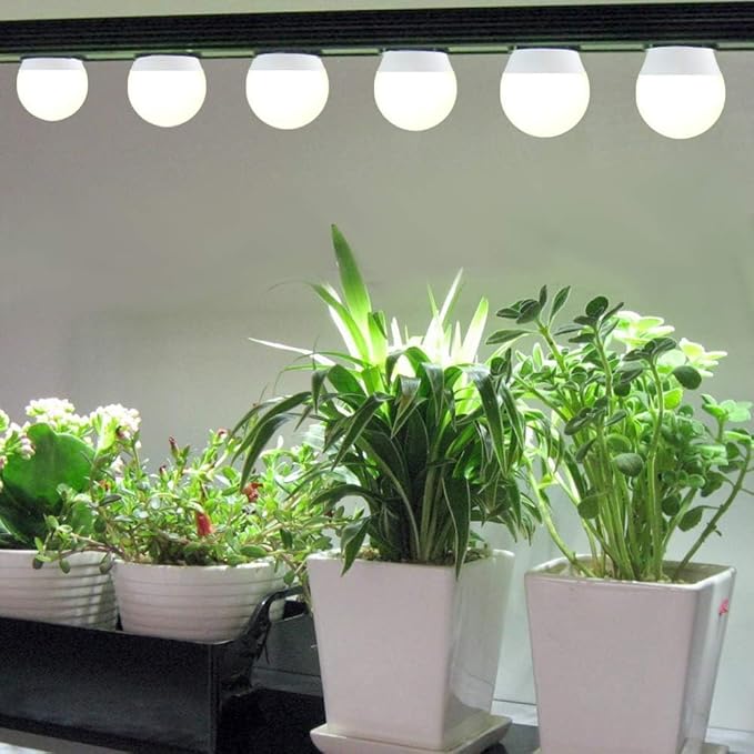 3 Pack Full Spectrum Grow Light Bulbs,A19 Grow Lights for Indoor Plants,Dimmable E26 9W Grow Bulb Replace up to 100W,Plant Lights for Indoor Growing,Flowers,Greenhouse,Indore