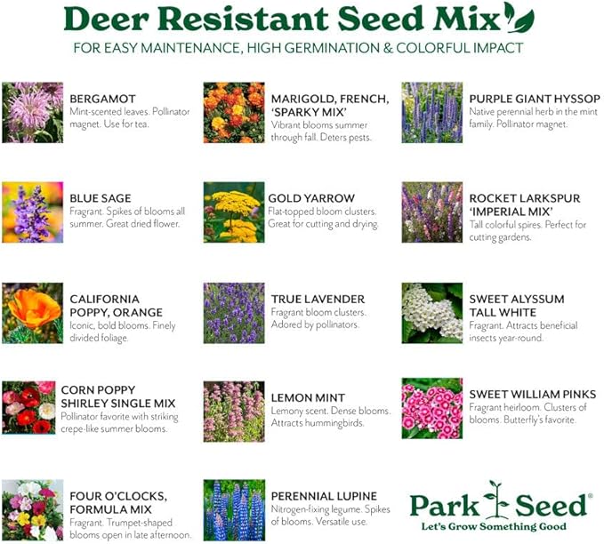 Park Seed Grow Your Own Vibrant Annual and Perennial Wildflower Garden Seed Mixture, Easy to Grow Varieties for Pollinators and Spring Gardens - Deer Resistant Mix, 1/4 lb