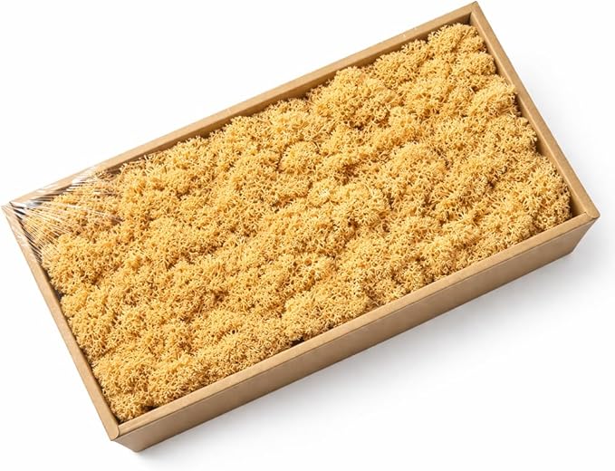 Cigarlemon Preserved Reindeer Moss, 17.64oz Natural Decorative for Home Decor, DIY Crafts, Moss Wall Art, Terrariums, Floral Arrangements, Wedding & Holiday Decorations (Ginger)