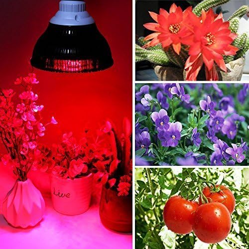 660nm Red Light Bulb, 18W (36W Equivalent) LED Grow Light for Indoor Plants Flowering Bloom and Fruiting, Grow Spectrum Enhancement