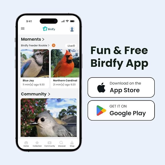 Birdfy Smart Bird Feeder with Camera for Rookie, Camera Bird Feeder Dual Night Vision, AI Recognition IP66 Waterproof for BirdLovers, 1.3L Capacity (AI by Subscription)