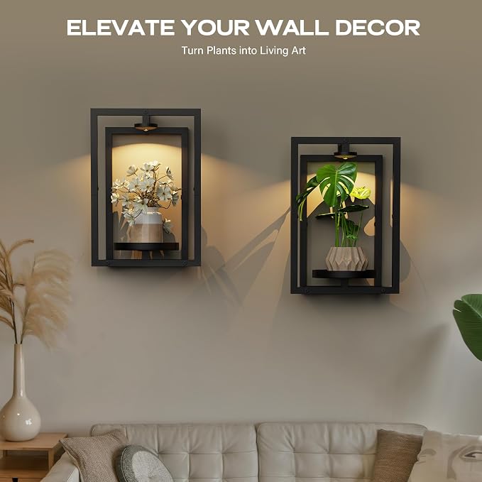 Wall Plant Holder with Grow Light, Wall Planters for Indoor Plants with Wireless Remote & Timer, Plant Frames Wall Decor Shelf for Living Room, 2 Pack