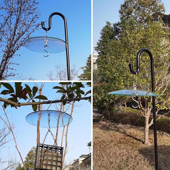2PC X 10" Glass Rain Cover for Wild Bird Feeder Outdoors - Weather Guard S Hook Hanging - Protective Dome Baffle - Clear (Dia. 25CM)