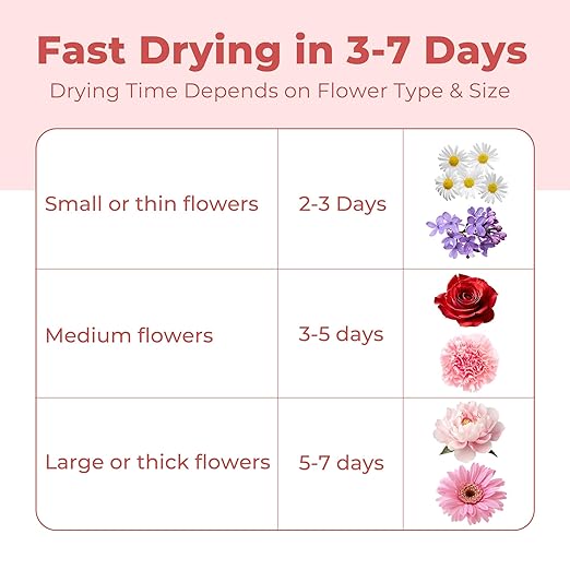 LotFancy 2.5 LBS Silica Gel Flower Drying, Rusable Color Indicating Silica Crystals with Airtight Container and Brush, DIY Wedding Bouquet Preservation Craft Kit
