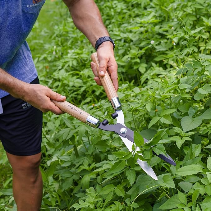 Berry&Bird Garden Hedge Shears,19.88''Heavy Duty Pruning Shear for Trimming Borders and Bushes, Manual Hedge Clippers with Wooden Handles & Carbon Steel Sharp Blades Gardening Scissors