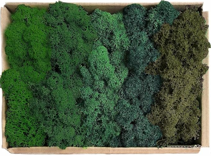 Preserved Reindeer Moss Natural Green DIY Kit Gardenning Art Wall Decor Florist Decor Easter Table Decor Wedding