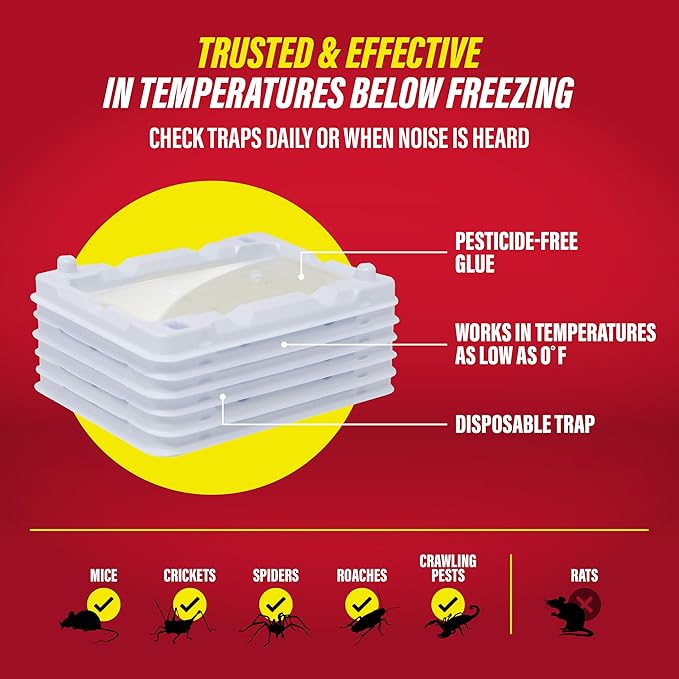 Catchmaster-6 Freeze Resistant Mouse & Insect Glue Traps, Indoor for Home, Pest Control Adhesive Tray, Catch Bugs, Crickets, Spiders, Rats, Pet Safe Glue Boards for Cold Weather, House, Shed & Garage