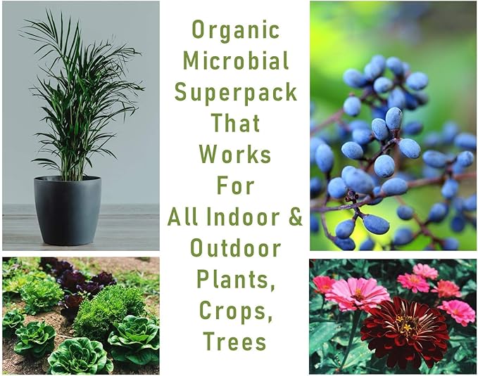 Mikrobs - Microbial Superpack for Living Soil. Revitalize Plants (1 lb.)