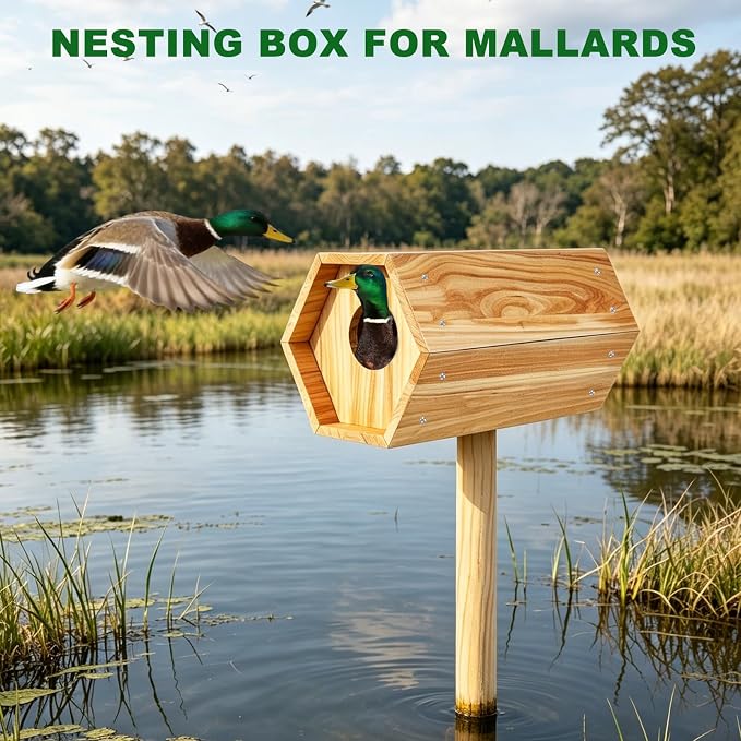 Mallard Nesting Box, Wood Duck House for Outdoor Hexagonal Large Duck House with Dual Entrances for Ponds, Wetlands, Backyards 19.7 X 10.2 X 10.2 Inches