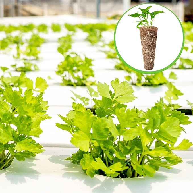 Chumia 200 Pcs Hydroponics Grow Sponges Replacement Root Growth Sponges Pods Kit for Indoor Hydroponic Garden Patio Lawn Plant Growth System Seed Starter