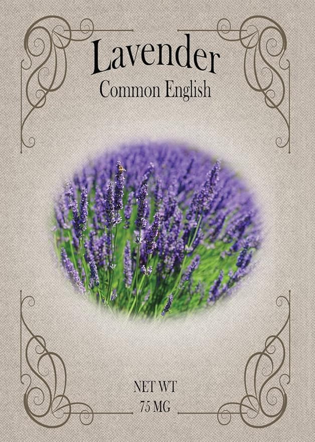 Set of Lavender Seed Packets - Create Your Dream Garden - Bulk Flower Seeds (50)