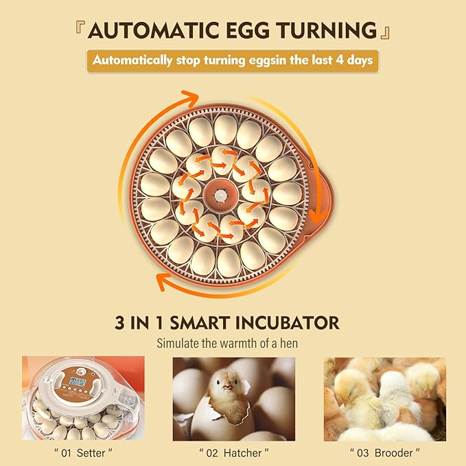 Incubators for Hatching Eggs 3 in 1 Fully Automatic Poultry Incubator Auto Temp and Humidity Control Auto Egg Turning 26 Eggs Capacity for Farm and Home Use Suitable for Chicken Duck Quail Eggs