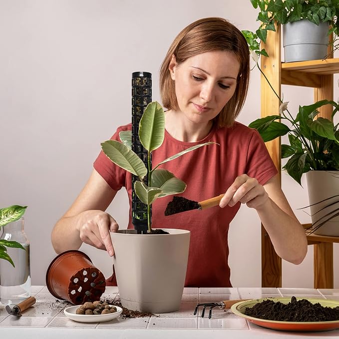 Moss Pole for Climbing Plants Monstera, Indoor Plant Supports, Plastic Moss Stick, Plant Stake for Garden, Extension Aid Climbing Rob (Black, 6pcs 10inch)