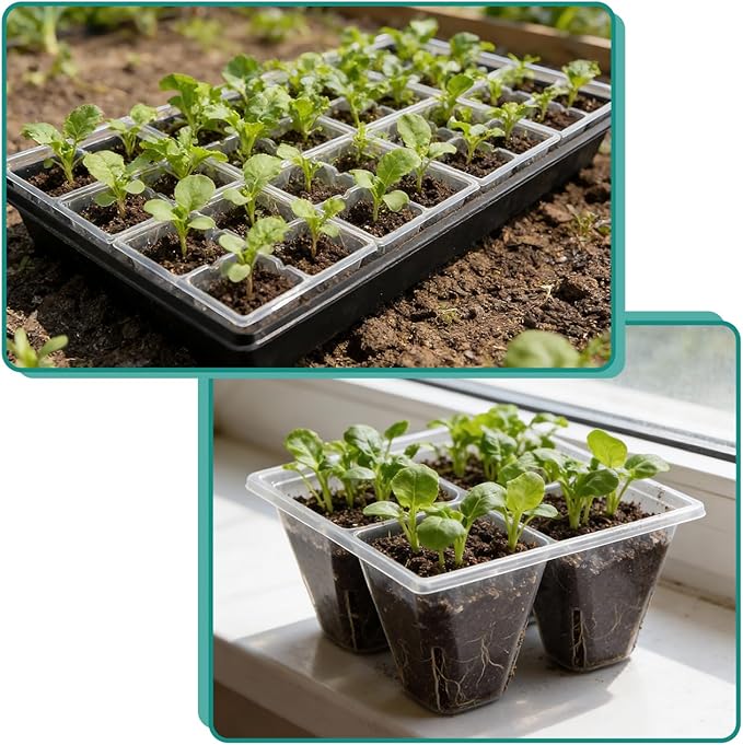 RooTrimmer 40 Pack Reusable 4-Cell Seed Starter Trays with Large Drainage Holes - Clear Transparent Trays for Root Growth Monitoring, Avoids Overwatering, Easy Transplant, Fits Standard 1020 Trays