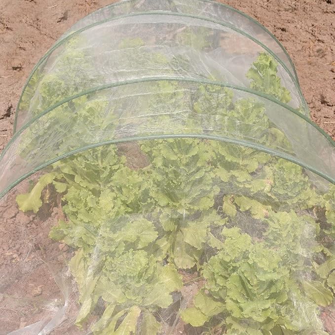 Roll Packed 6.5x100FT Garden Netting, Fine Mesh Pest Barrier Protect Your Plant Fruits Flower, Insect Bird Protection Netting for Raised Beds Greenhouse Hoops