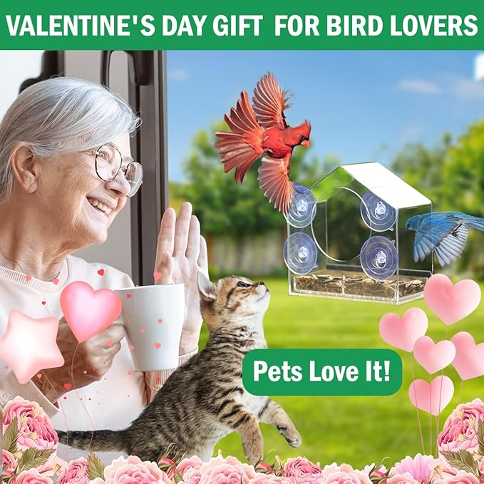Clear Window Bird Feeder with Slide-Out Removable Tray - 4 Strong 2.36 Inch Suction Cups Acrylic House - See-Through Window Feeders for Outside - Bird Watching for Mom, Cats & Elders