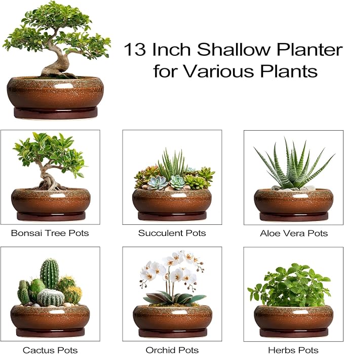Bonsai Pots 13 Inch - Large Ceramic Succulent Planter for Indoor Outdoor, Round Shallow Planters with Drainage Hole and Saucer, Large Succulent Pots, Patio Decor, Garden Gifts, Retro Brown