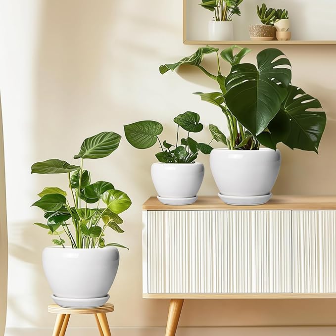 Ceramicfor Ceramic Pot for Plants - 10 Inch Planter with Drainage Hole and Saucer, Glaze Modern Round Flower Pot for Indoor Plants, Housewarming Gift, Home Decor, White