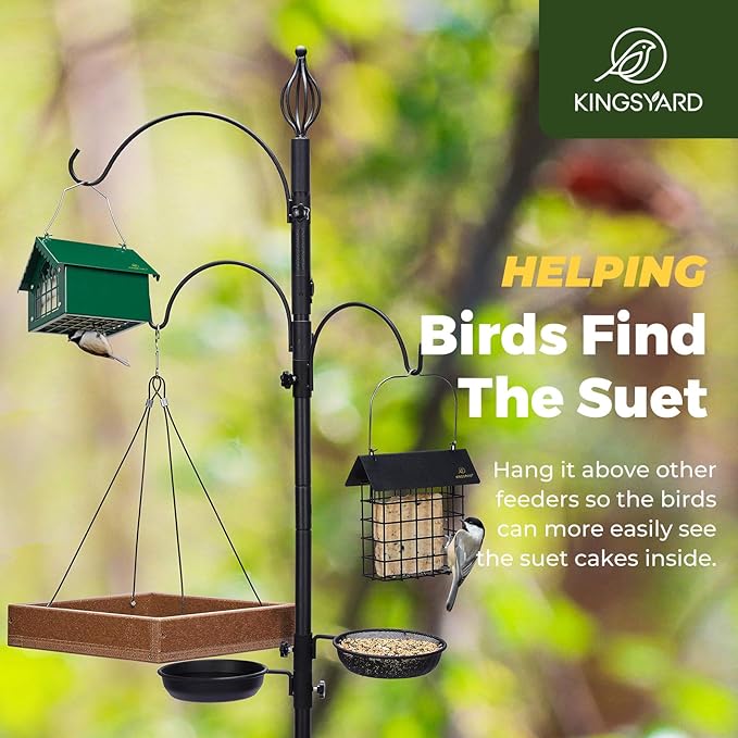 Kingsyard Double Upside Down Suet Feeder with Weatherproof Roof, All Metal Suet Feeders for Outdoors Hanging, Great for Downy Woodpecker Nuthatch Chickadee, Green