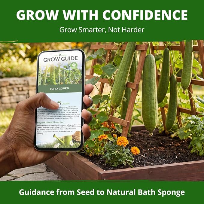 HOME GROWN Luffa Seeds 40 Heirloom Non-GMO Loofah Gourd Seeds for Planting, High Germination, Grow Your Own Natural Bath Sponges, Edible Vining Vegetable Garden, Harvest Young Gourd (Luffa aegyptiaca)