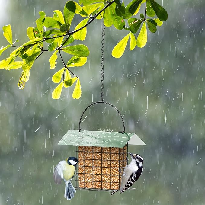 FLINTER Bird Feeder for Outdoors, Suet Feeder Hanging Bird Feeder, Adjustable Chain Hanging for Garden Yard Outside - Suet Cake Feeders to Attracting Birds