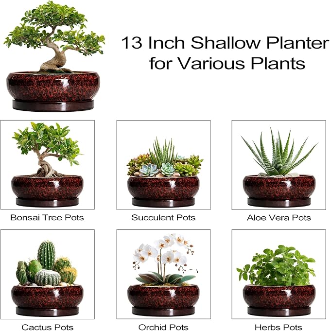 Bonsai Pots with Drainage Hole - 13 Inch Ceramic Succulent Pots, Large Succulent Planter with Saucer, Shallow Planter Indoor Outdoor, Round Planter Bowl, Apartment Decor, Garden Gifts, Red