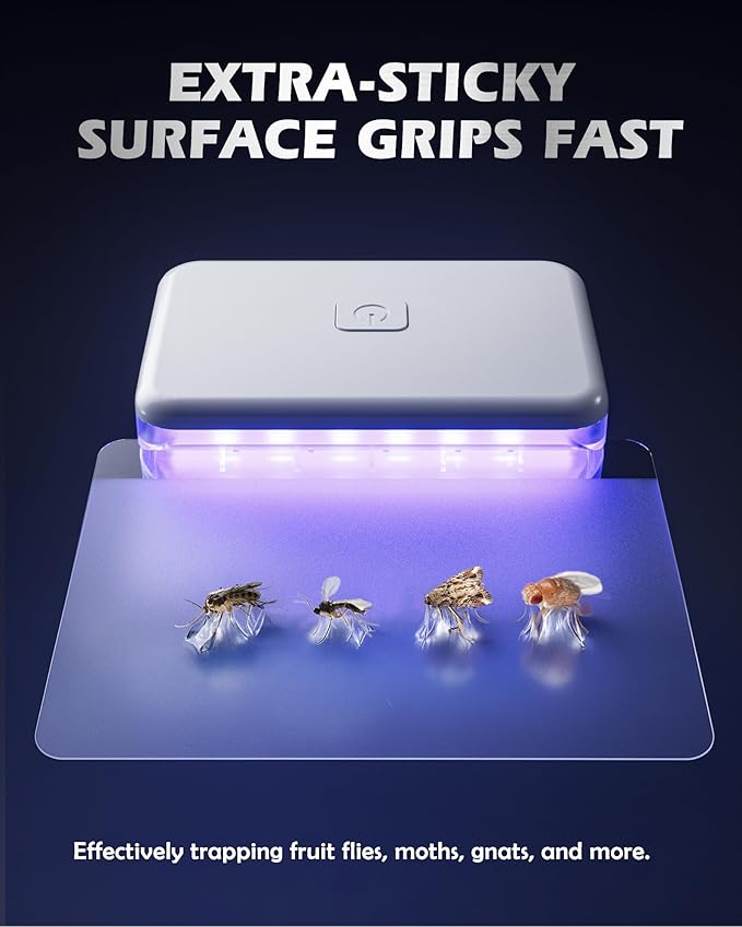LFSYS 2 Pcs Fruit Fly Traps for Indoors (2 Device+10 Refills) Plug in UV Light Fly Trap for Gnats, Fruit Flies, Flying Insects Sleek Design Indoor Safe