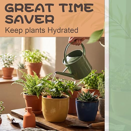 DoubleFill 2 Pcs 50oz Ollas Terracotta Watering Pots Self Watering Planter Insert Terracotta Globes Clay for Outdoor Indoor Garden Plants, Easy to Refill
